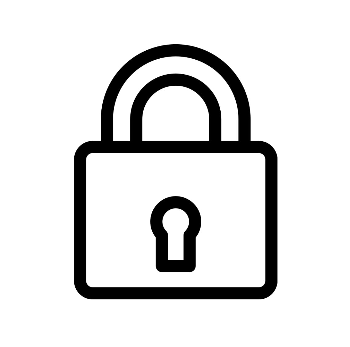 100% Secure Payment